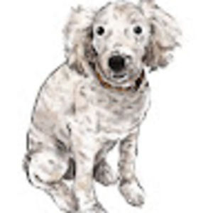 Meet your Posher, Annemarie